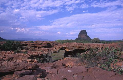 Open original Digital object