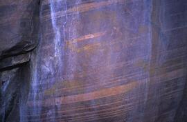 RARI EEC RSA GOP23 3