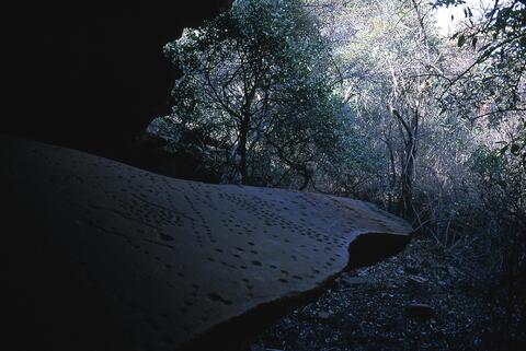 Open original Digital object