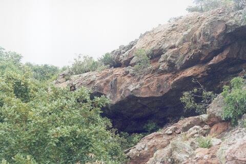 Open original Digital object