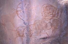 RARI EEC BOT TSO14 7