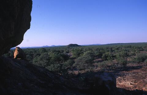 Open original Digital object