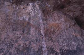 RARI EEC RSA LIT2 25