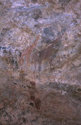 RARI EEC RSA LIT2 20