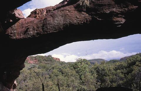 Open original Digital object