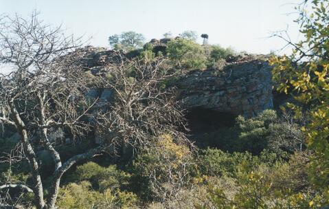 Open original Digital object