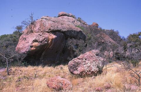 Open original Digital object