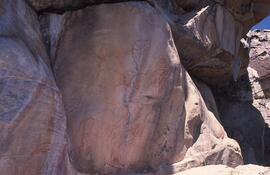 RARI EEC BOT TSO14 6