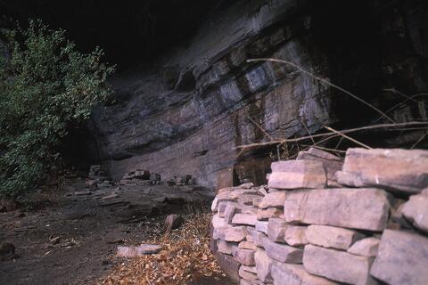 Open original Digital object