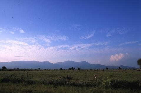 Open original Digitaal object