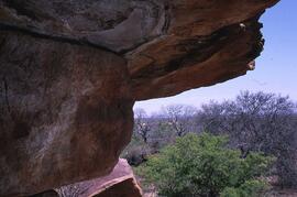 RARI EEC RSA GOP29 7