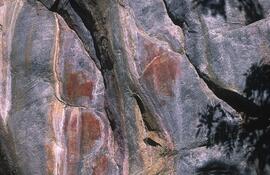 RARI EEC BOT TSOF12 1