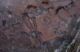 RARI EEC RSA BOE16 7