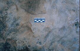 RARI EEC 03 564P
