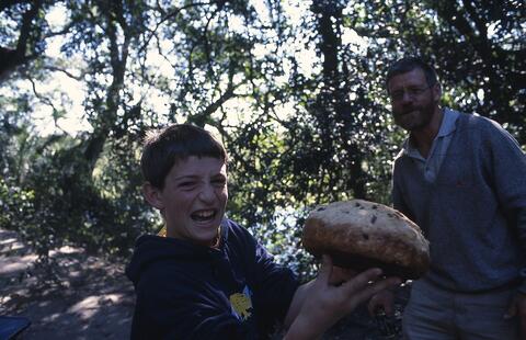 Open original Digital object