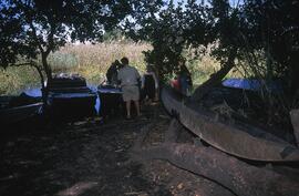 RARI EEC BOT TSOF5 60