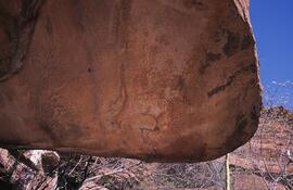 RARI EEC RSA GOP22 2