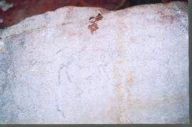 RARI EEC 03 541P