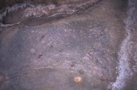 RARI EEC RSA KIS20 2