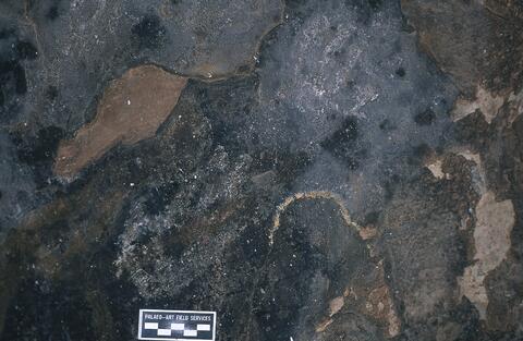 Open original Digitaal object