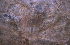 RARI EEC RSA LIT2 13