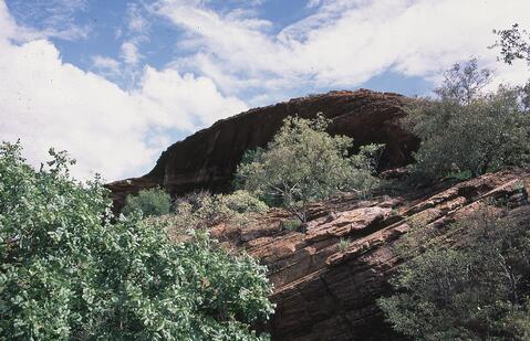 Open original Digital object