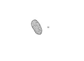 UOC HPC NAM NAI87 12R