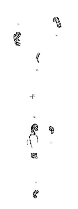 UOC HPC NAM NAI127 2R
