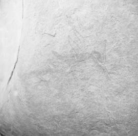 HRO 02 864H