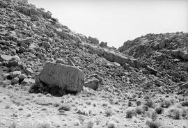 HRO 01 561