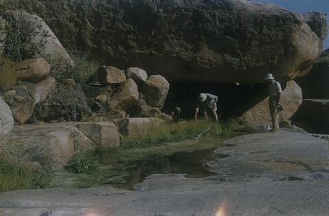 Open original Digital object