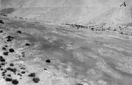 HRO 03 269P