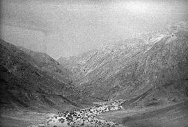 HRO 01 559