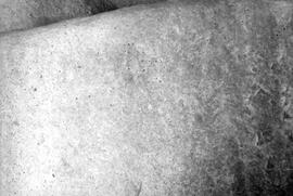 HRO 01 495