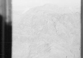 HRO 01 446