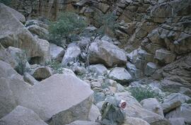 HRO 01 353