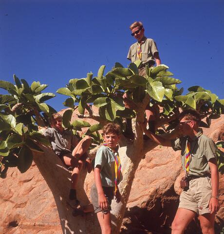 Open original Digital object