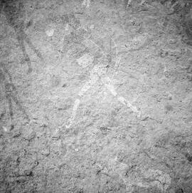 HRO 02 1082H