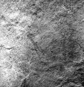 HRO 02 886H