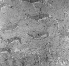 HRO 03 187P