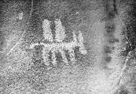 HRO 03 347P