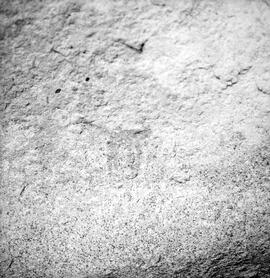 HRO 02 975H