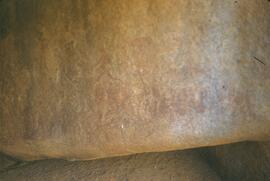 HRO 01 238