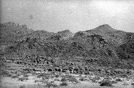 HRO 01 555