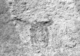 HRO 03 124P