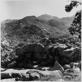 HRO 03 99P