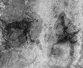 HRO 03 129P
