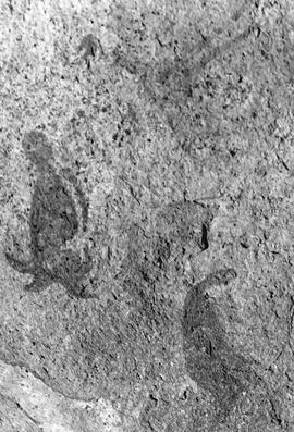 HRO 03 26P