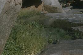 HRO 01 123