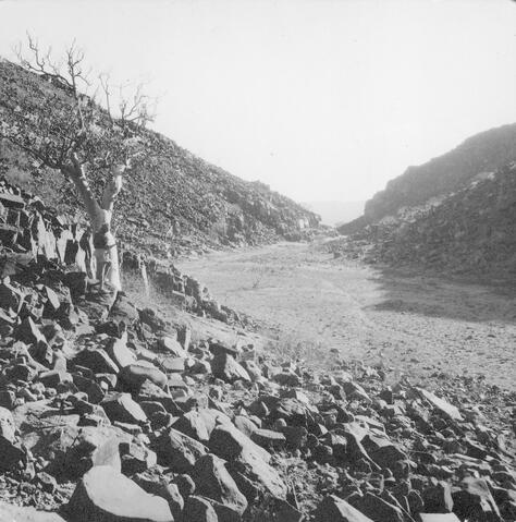 Open original Digitaal object